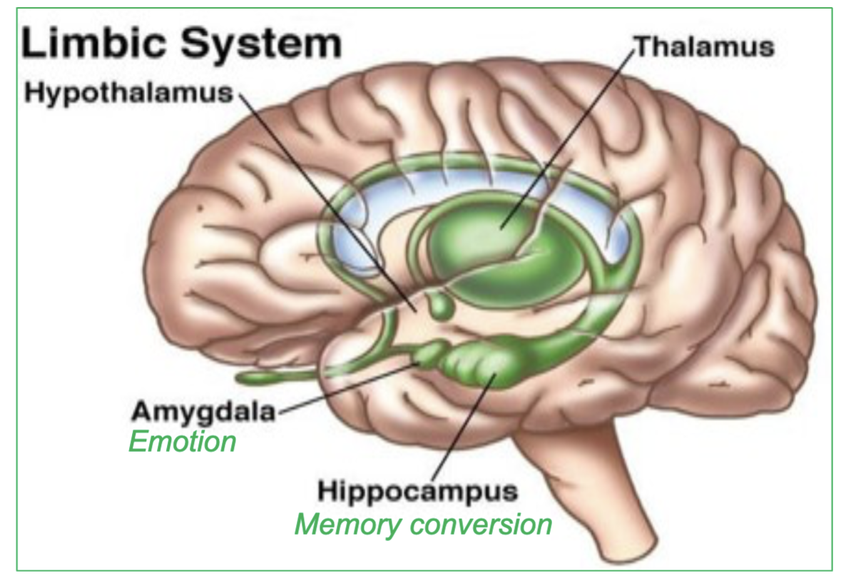 <p>memory conversion</p>