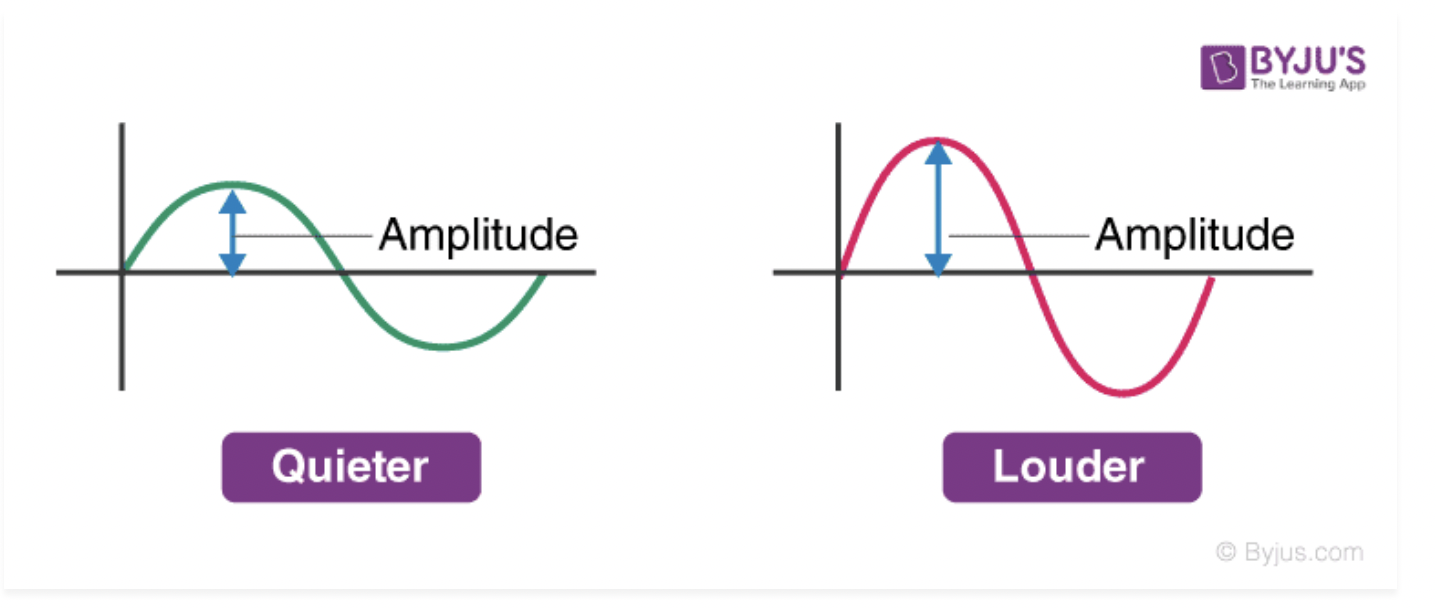 <p>Amplitude is the distance between the resting position and the maximum displacement of the wave.</p>