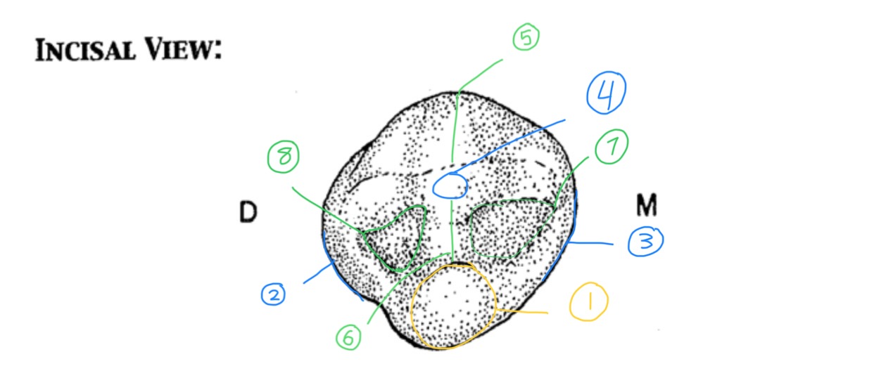 <p>Name #6</p>