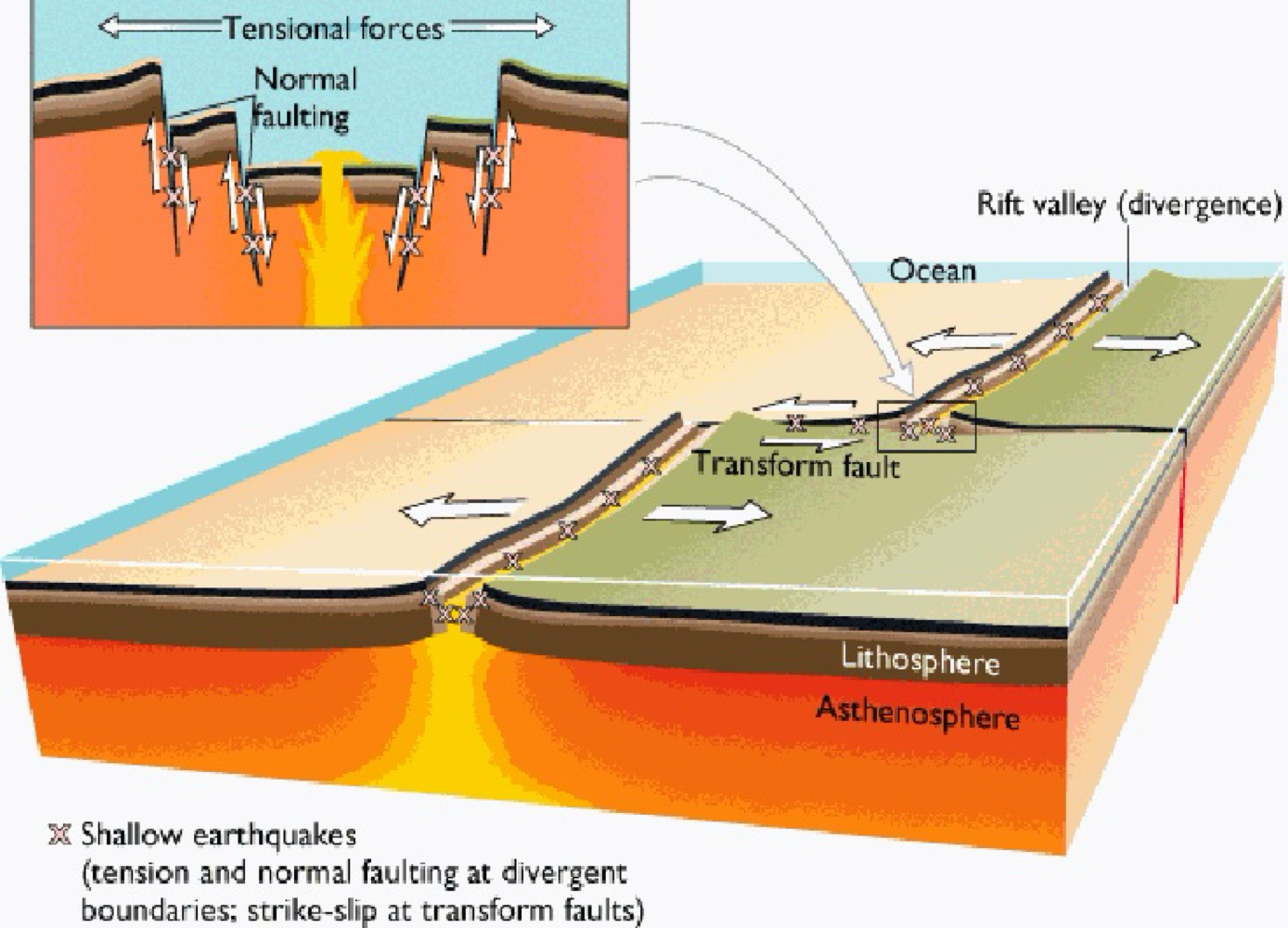 <ul><li><p>caused by sudden motion of plates</p></li><li><p>tend to be shallow at ridges (&lt;70km depths)</p></li><li><p>creates by both normal and transform faults</p></li></ul><p></p>