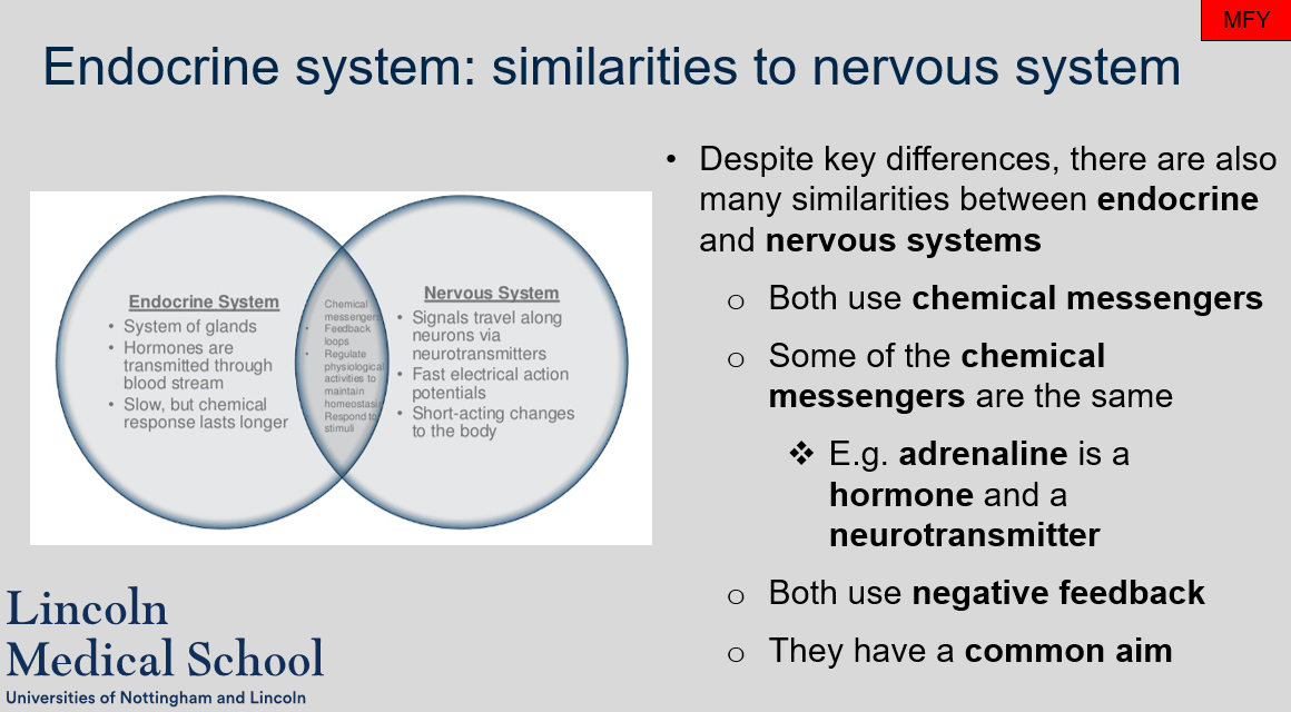 The common aim of both the endocrine and nervous systems is to maintain homeostasis in the body. 