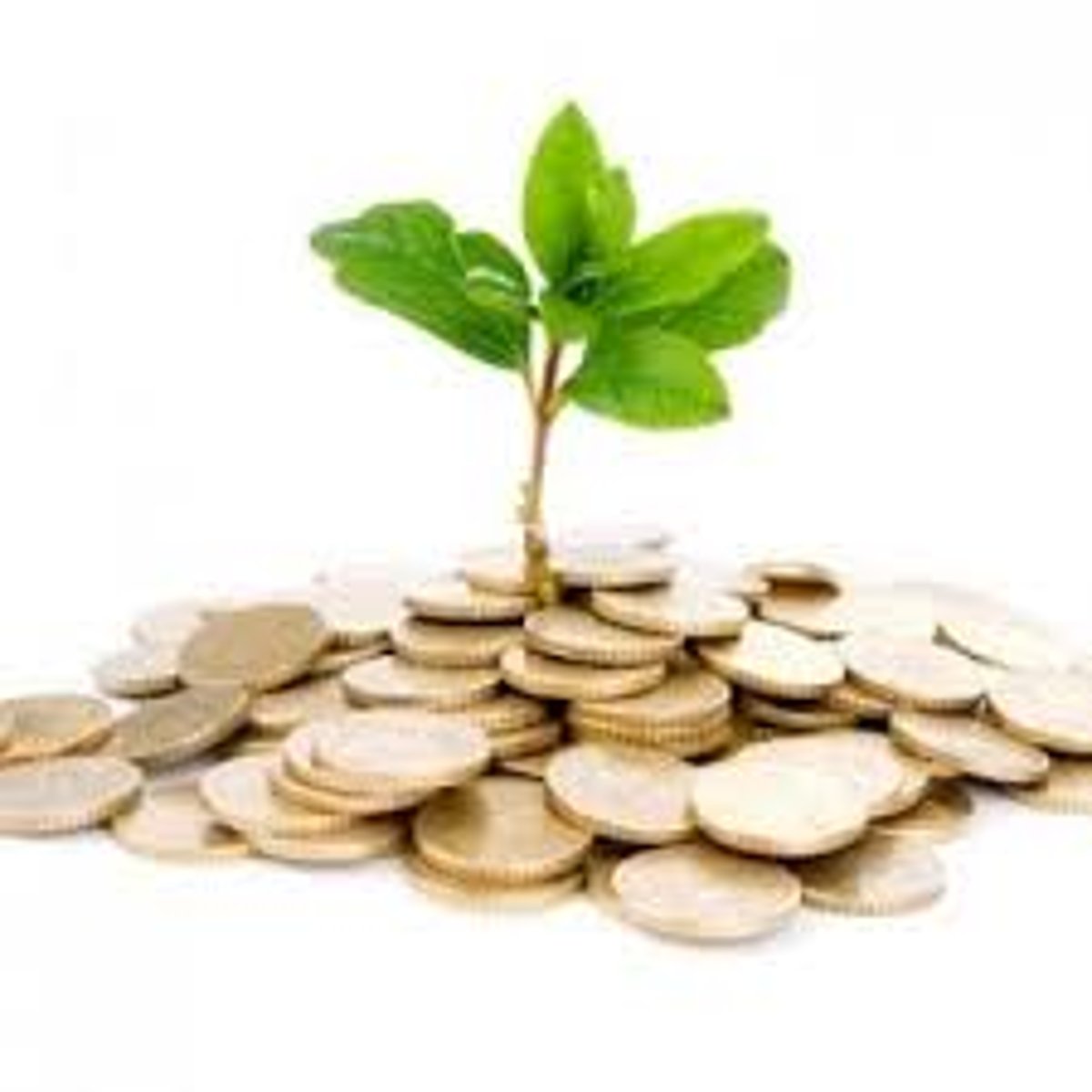 <p>acción de poner dinero en algo ahora para obtener un beneficio luego</p>