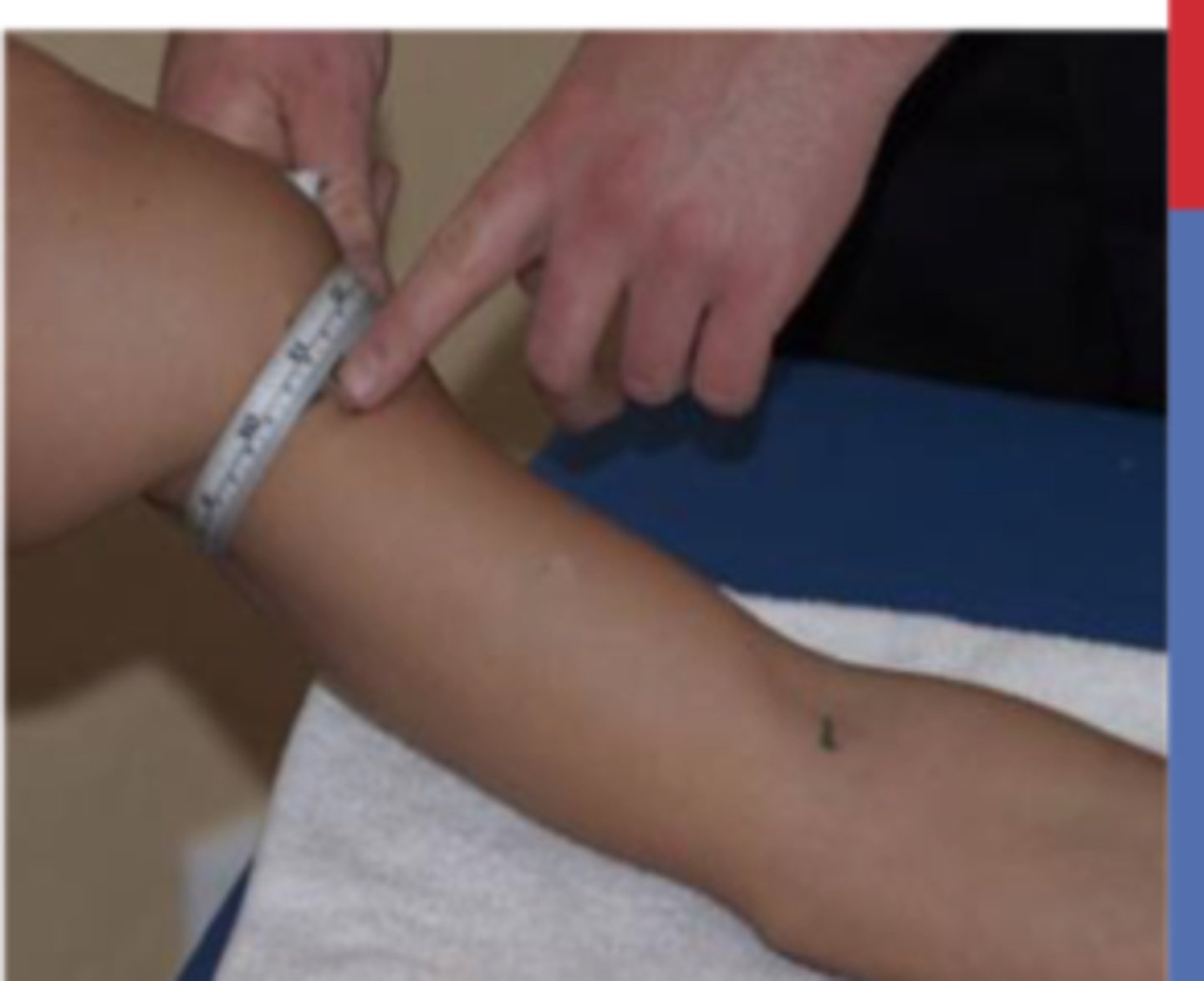 <p>Use girth measurement (every 10 cm landmarks)</p>