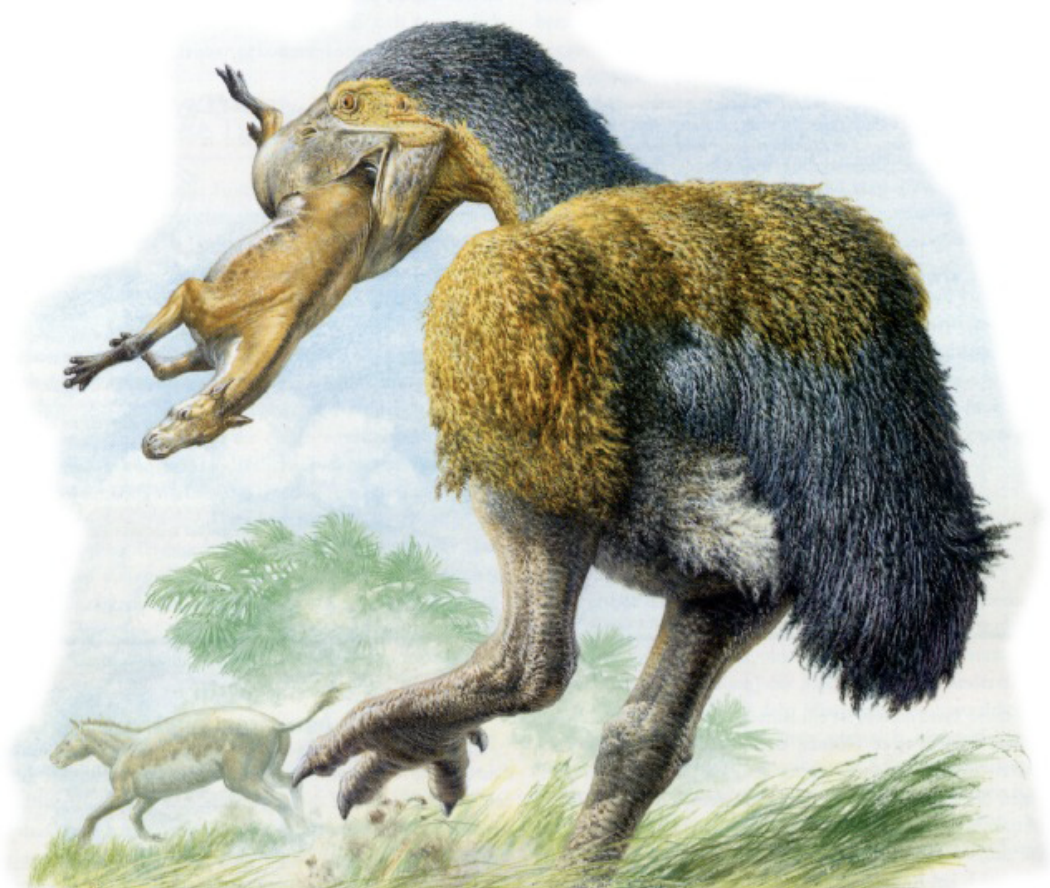 <p>Cenozoic beast</p>