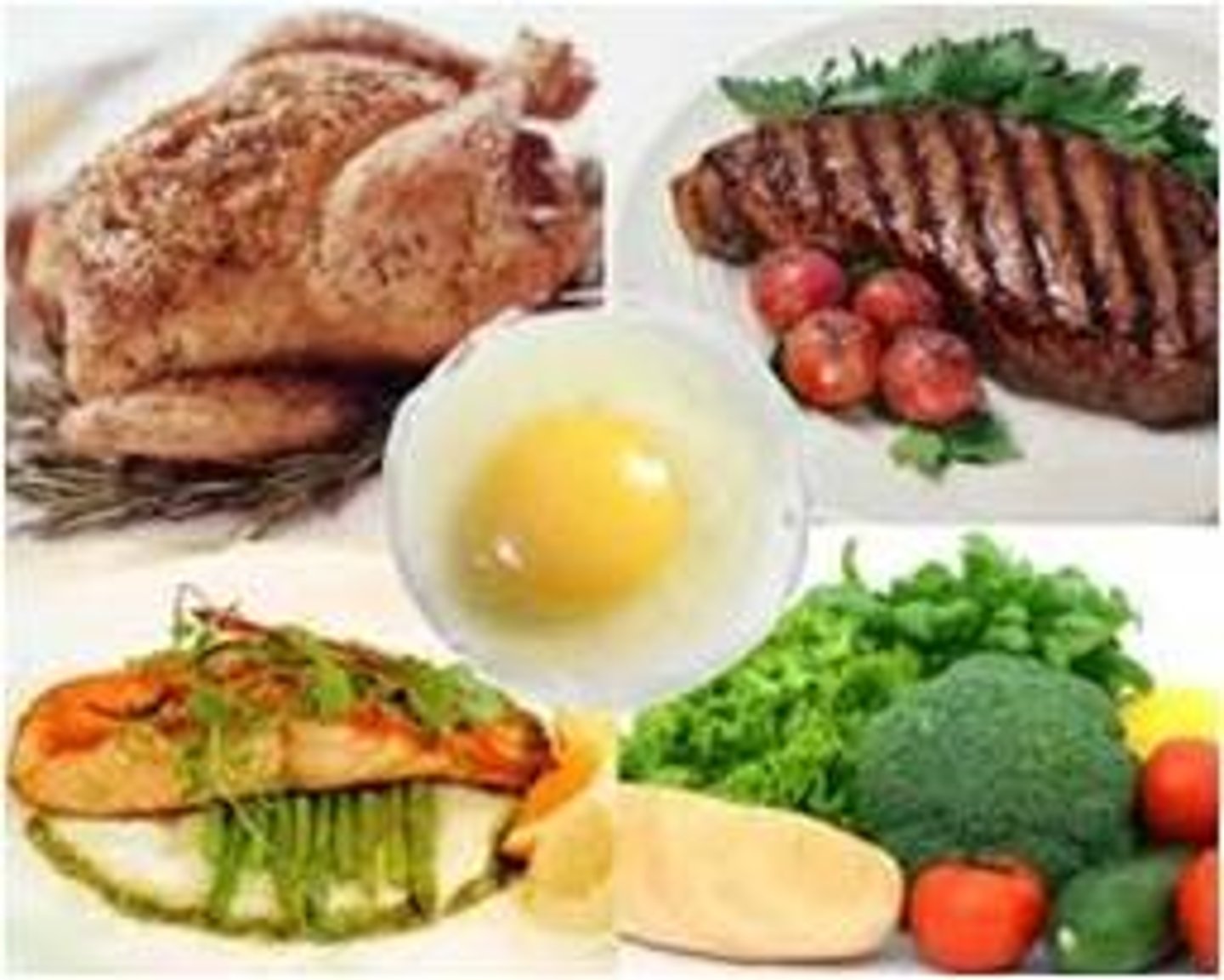 <p>(n): thức ăn</p>