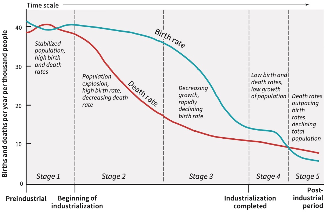 <p>How crude birth rate (CBR) and crude death rate (CDR) as well as the resulting rate of natural increase (RNI) change over time as countries go through industrialization and urbanization</p><p><span>A framework that describes how birth and death rates change as a country develops economically</span></p>
