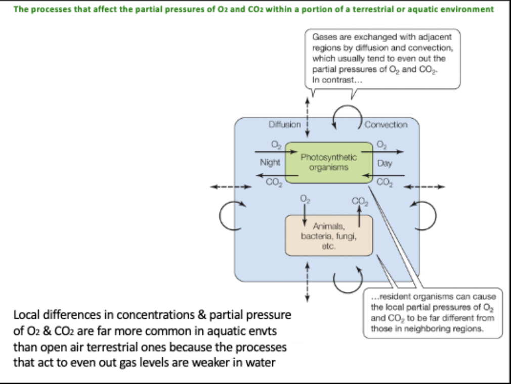 <p>what does this picture show?</p>