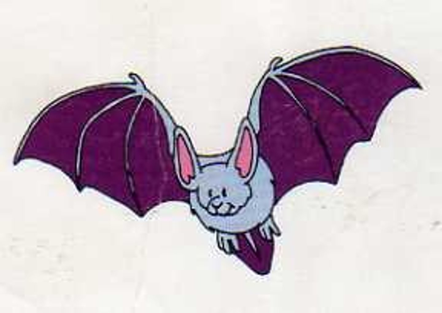 <p>a small animal like a mouse with wings that fly at night</p>
