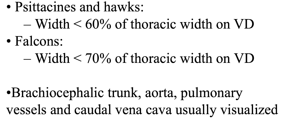 <p>The heart is larger than in mammals, especially in falcons.</p>