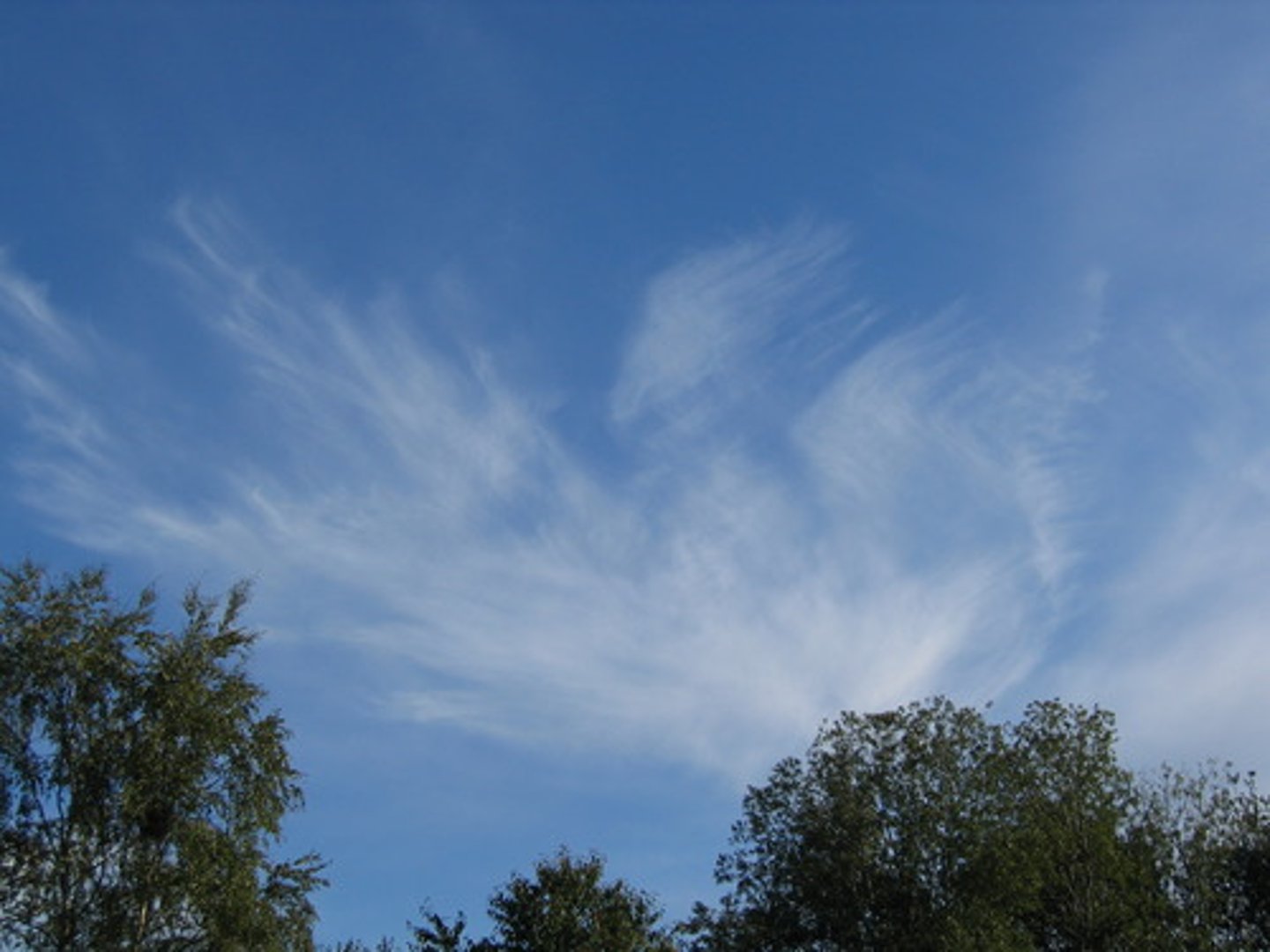 <p>feathery clouds. Indicate fair weather changing to snow or rain in several hours.</p>