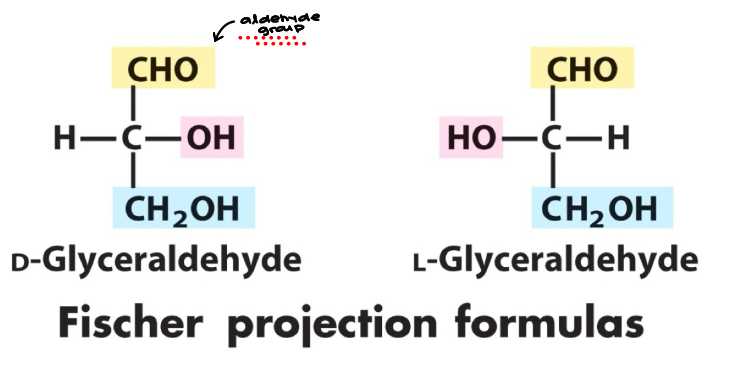 <ul><li><p>Contain one or more chiral carbons</p><ul><li><p>Active isometric forms (meaning they are isomers)</p></li></ul></li><li><p>Simple aldose: glyceraldehyde</p><ul><li><p>1 chiral carbon</p></li><li><p>2 isometric forms</p></li></ul></li><li><p>A molecule with n chiral centers can have 2^n stereoisomers</p></li></ul><p></p>