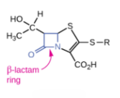<p>Semisynthetic ______</p><ul><li><p>Interact directly with PBPs and inhibit transpeptidase activity</p></li><li><p>Broad-spectrum antibiotics used to treat severe bacterial infections, particularly those resistant to other antibiotics</p></li></ul><p></p>