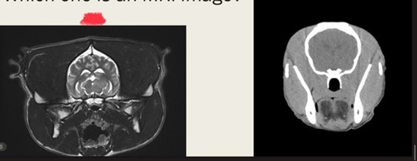 <p>how are these images different?</p>