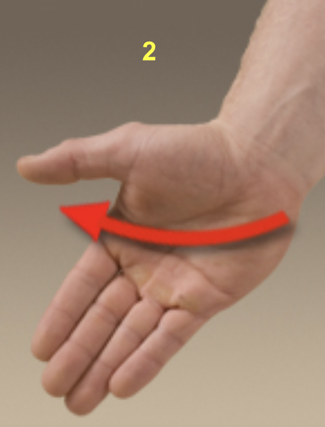 <p>What type of movement is this?</p>