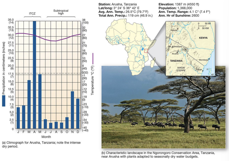 <p>what is an example of an <strong>Aw </strong>climate?</p>