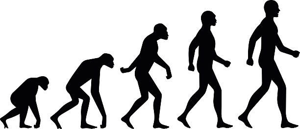 Evolution Process<br /><br /><br />