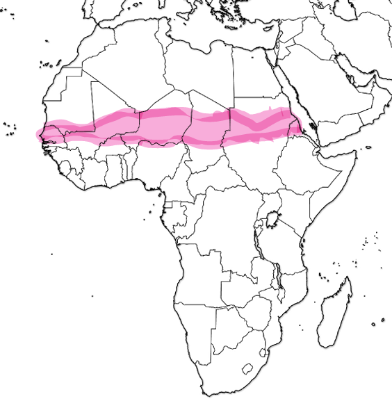 <p>What region is this?</p>