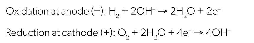 <p></p>
