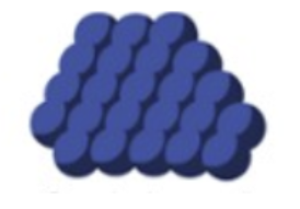 <p>What is the name of this bacterial cell arrangement?</p>