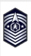 <p>Delta, globe, 4 chevrons, 3 orbits, 2 stars and a wreath</p>