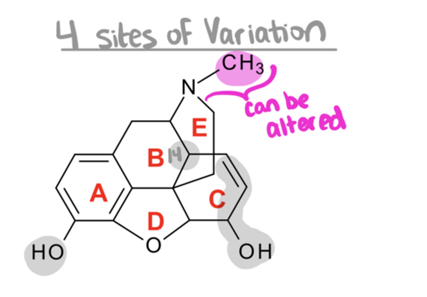 <p>Key SAR for Morphine Analogs:</p><p>4. if you alter N-CH3 → produce ___ and ___ agonists/antagonists</p>