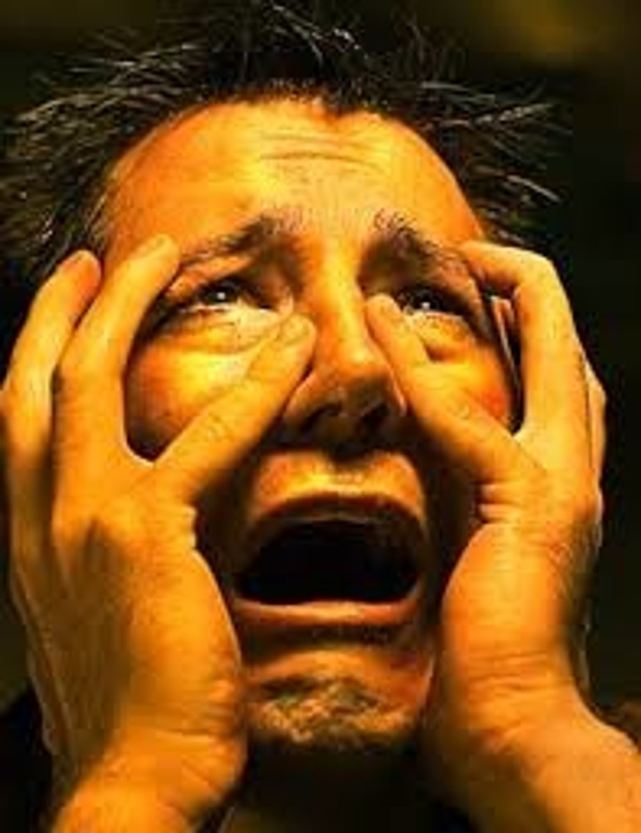 <p>experiencing intense pain especially mental pain (but may be physical)</p>