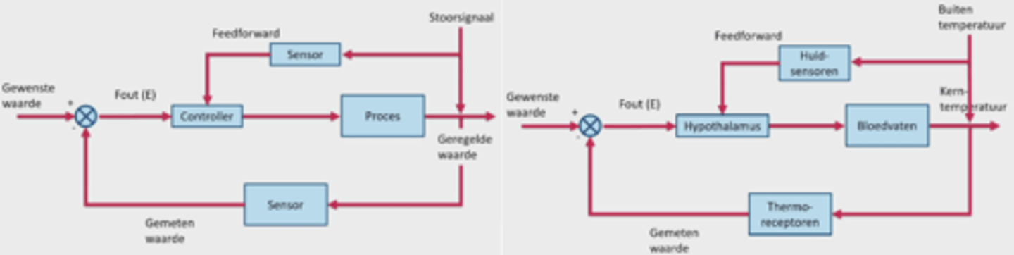 <p>Er wordt al gecorrigeerd voor een bepaalde handeling voordat deze het systeem heeft beïnvloed</p>