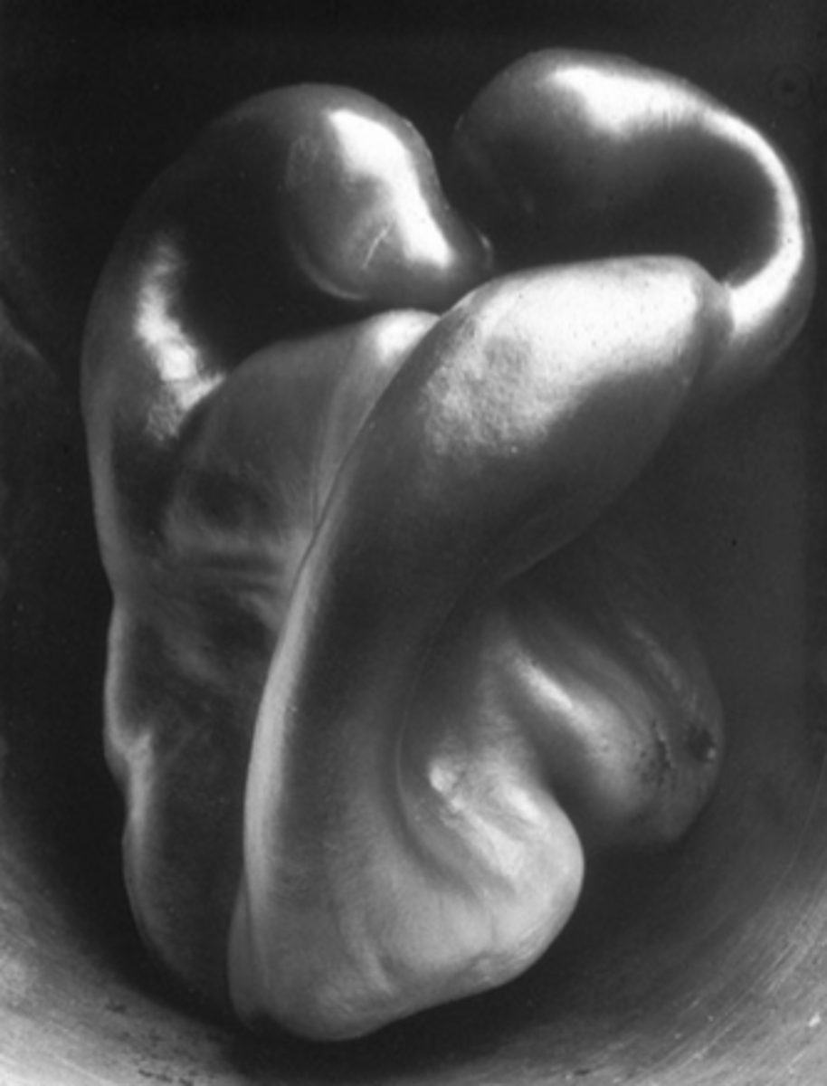 <p><span>Modernist photography</span></p><p>American artist</p><p>Zooming in to make it look like a body</p><p>Black and white</p><p>Looks like skin</p><p>Looks like a human torso</p><p>Artists looking for how perspective can change your idea of an image</p>