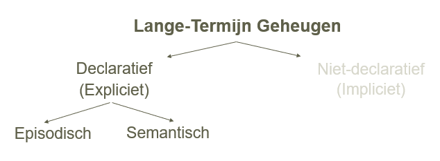 <p>1) <strong>Episodisch geheugen</strong></p><ul><li><p>persoonlijke gebeurtenissen</p></li><li><p>context waarin we dingen geleerd hebben belangrijk (waar, wanneer, met wie…)</p></li><li><p>mentaal tijdreizen</p></li><li><p><em>vb. wanneer heb je voor het laatst met de fiets gereden</em></p></li></ul><p>2) <strong>Semantisch geheugen</strong></p><ul><li><p>betekenissen &amp; feiten</p></li><li><p>niet gebonden aan specifieke context</p></li><li><p>vaak eerst als episodische kennis, dan als semantische</p></li><li><p><em>vb. wat is een fiets</em></p></li></ul><p></p>