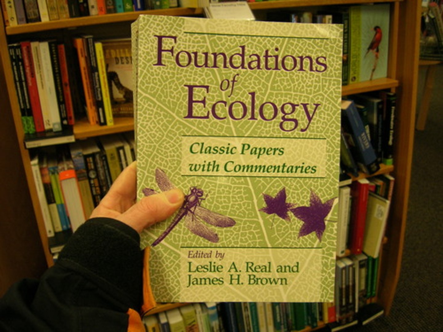 <p>ecology</p>