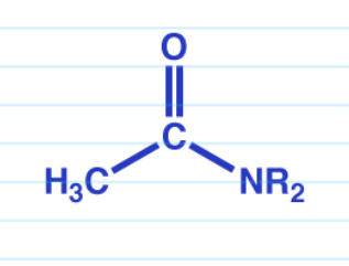 <p>+ Ammonia —&gt; 1 amide</p><p>+ RNH2 —&gt; 2 amide</p><p>+ R2NH —&gt; 3 amide</p>