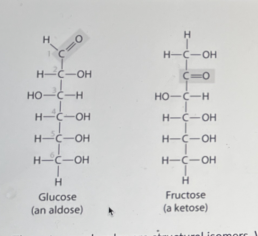 These two molecules are structural isomers. What is the difference between them?