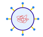 <p>They contain some genetic material<br />
surrounded by a protein shell</p>