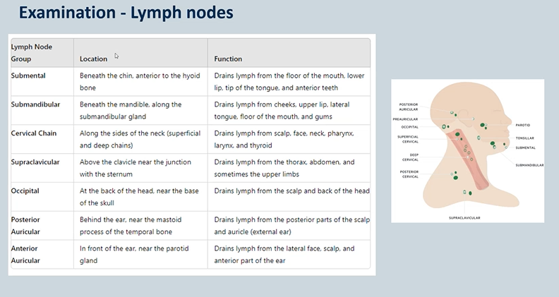 <p>if you have a dental infection - the first place the infection will drain is the submental and submandibular NODES </p>