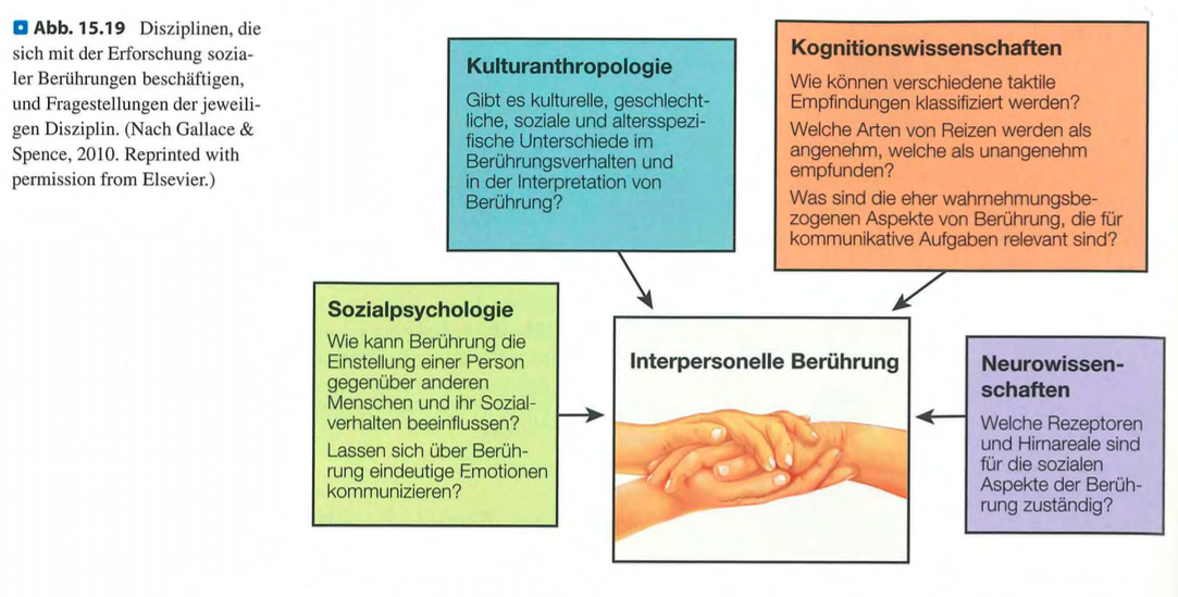 <p class=""><strong>Kurzfassung:</strong><br>Der Text behandelt <strong>soziale Berührungen</strong> als Forschungsfeld, das untersucht, <strong>welche Arten von Berührung angenehm oder unangenehm sind</strong> und <strong>welche neuronalen und kognitiven Mechanismen</strong> daran beteiligt sind.</p><div data-type="horizontalRule"><hr></div><p class=""><strong>Langfassung:</strong></p><ul><li><p class=""><strong>Thema:</strong> Soziale bzw. interpersonelle Berührung – also <strong>physischer Kontakt zwischen Menschen</strong>.</p></li></ul><p class=""></p><ul><li><p class=""><strong>Ziel der Forschung:</strong></p><ul><li><p class="">Welche Berührungen empfinden Menschen als <strong>angenehm oder unangenehm</strong>?</p></li><li><p class=""><strong>Welche Rezeptoren</strong> in der Haut und <strong>welche Hirnareale</strong> sind speziell für <strong>soziale Berührungsverarbeitung</strong> zuständig?</p></li></ul></li></ul><p class=""></p><ul><li><p class=""><strong>Forschungsansatz:</strong></p><ul><li><p class="">Der Schwerpunkt liegt auf <strong>kognitiven und neurowissenschaftlichen Perspektiven</strong>.</p></li><li><p class="">Ziel ist ein besseres Verständnis, <strong>wie soziale Berührungen emotional bewertet und im Gehirn verarbeitet werden</strong>.</p></li></ul></li></ul><p></p>