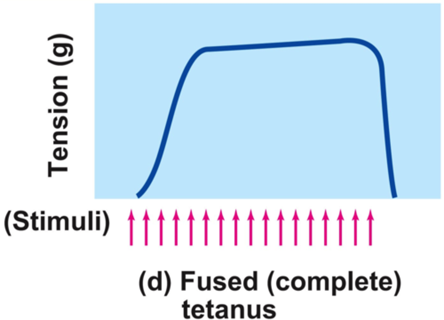 <p>a sustained contraction caused by high frequency stimulation that lacks any relaxation</p>