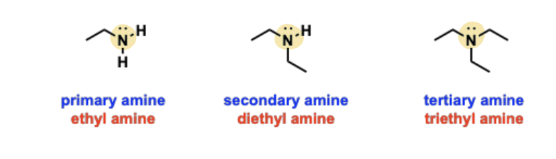 <p>Nitrogen-containing functional groups that contain an "NHR" (amino) group connected to an alkyl chain, classified by the number of bonds nitrogen makes to an alkyl group (1°, 2°, or 3°).</p>