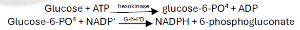 <p>Hexokinase</p>