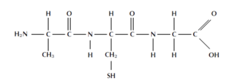 <p>what is this</p>