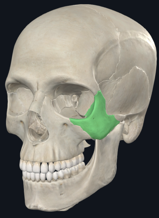 term image