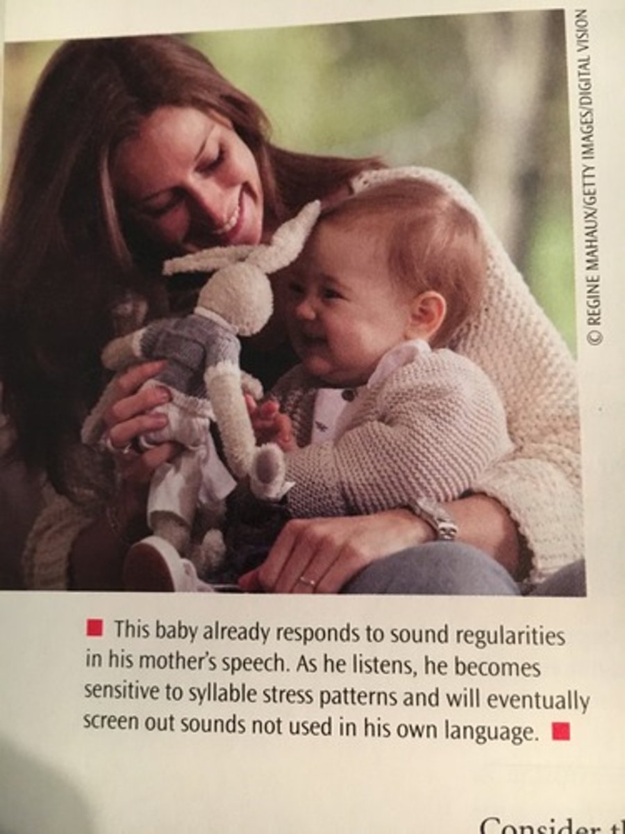 <p>analyzing the speech stream for patterns- regularly occurring sequences of sounds-they acquire a stock of speech structures for which they will later learn meanings, long before they start to talk around age 12 months</p><p>What feature does the brain specialize in that allows babies to learn language?</p>