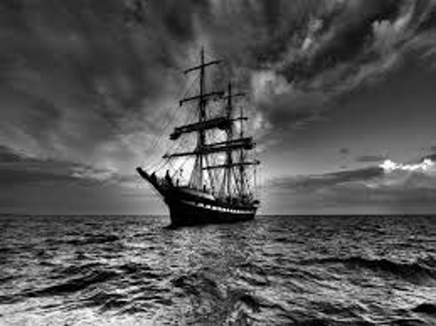 <p>navis</p>