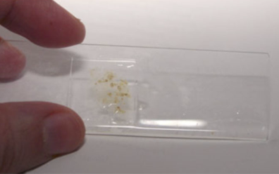 <p>used to ID protozoan oocysts and trophozoites (giardia, tritrichomonas foetus)</p><p>low sensitivity, false negatives 72-90%, cannot exclude infection</p>