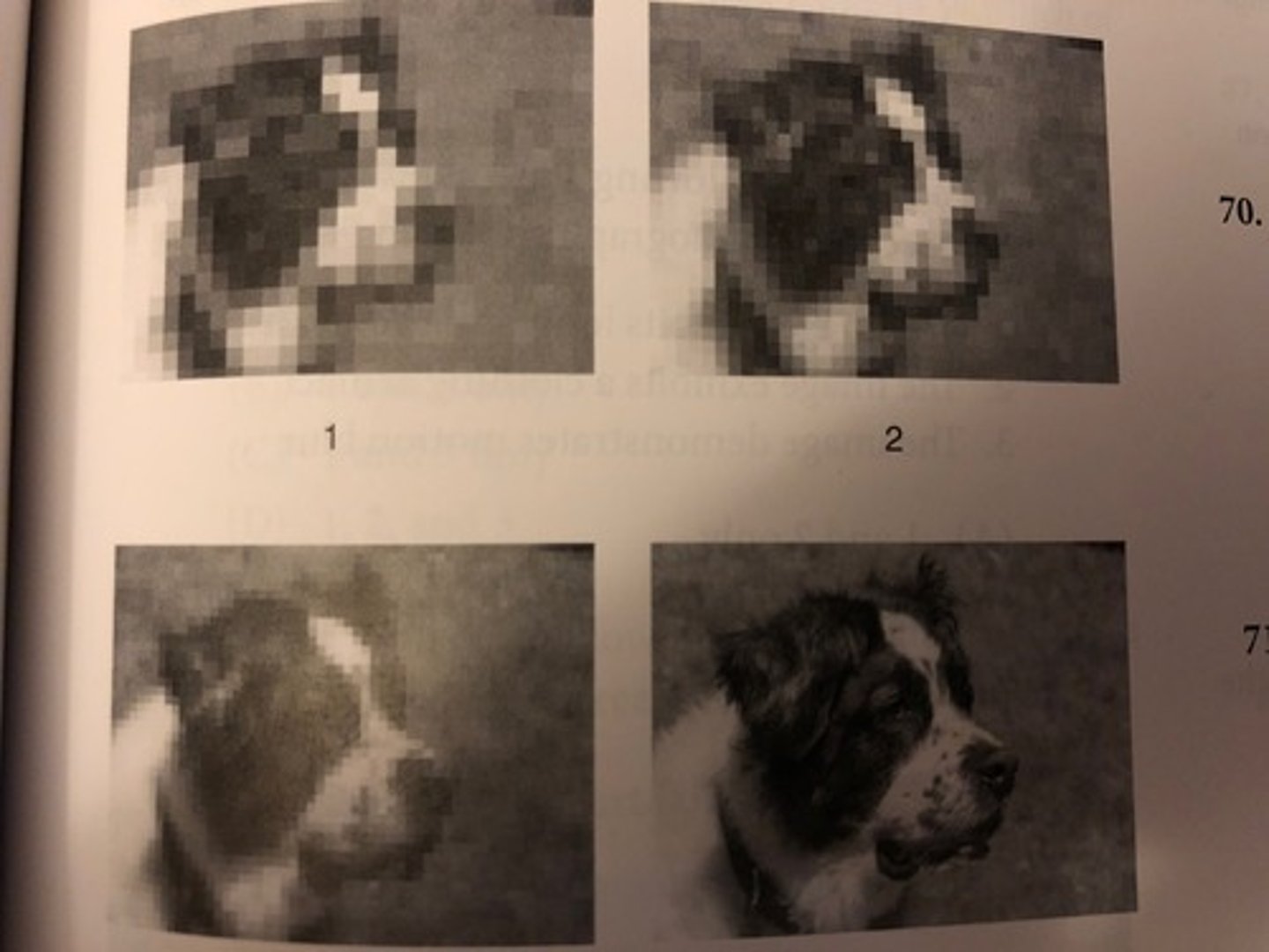 <p>(A) Image #1</p>