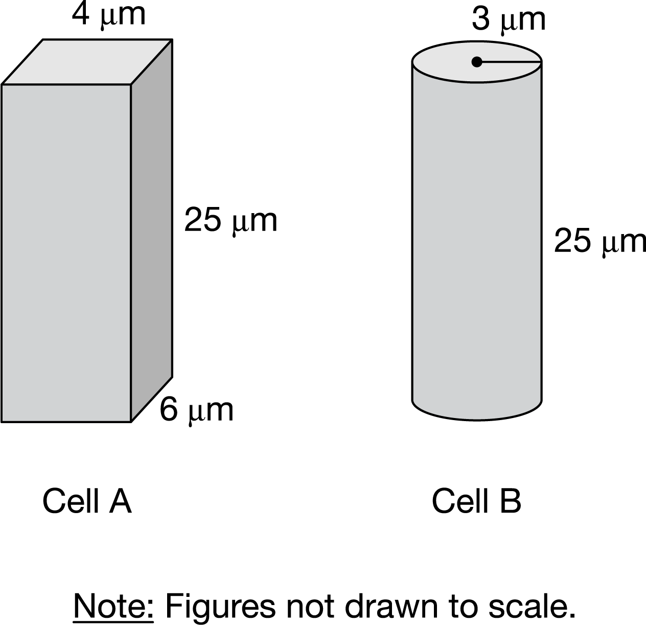 Cell A, because it has the larger surface-area-to-volume ratio.