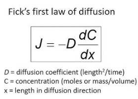 <p>when flux is proportional to concentration gradient (rate of diffusion) → Fick’s First Law of Diffusion</p><ul><li><p>there is a relatively even transition of matter</p></li><li><p>dC = C2 - C1</p></li><li><p>dx = x2 - x1</p></li></ul><p></p>