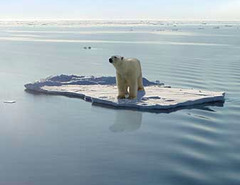 <p>Top layer of water is getting warmer so ice caps are melting, this causes sea level rise</p>