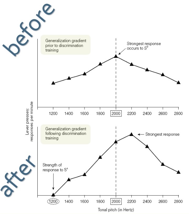 <p>the peak of a generalization gradient following discrimination training will shift from the SD to a stimulus that is further removed from the SΔ</p>