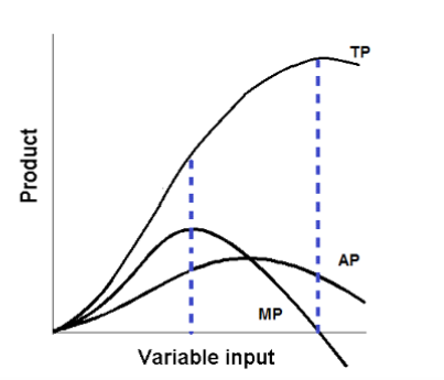 <p>total product is maximized when</p>