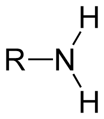 Nitrogen bonded to two hydrogens and one carbon atom.